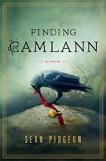 Finding Camlann novel by Sean Pidgeon