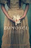 Damosel, the Lady of the Lake YA book by Stephanie Spinner