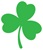 green shamrock symbol of Irish culture