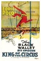 poster for Chapter 5 of the 1920-21 serial "King of The Circus"